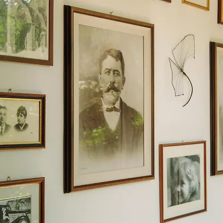La Casa Del Ginkgo